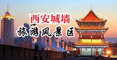 操逼视频无遮掩免费中国陕西-西安城墙旅游风景区